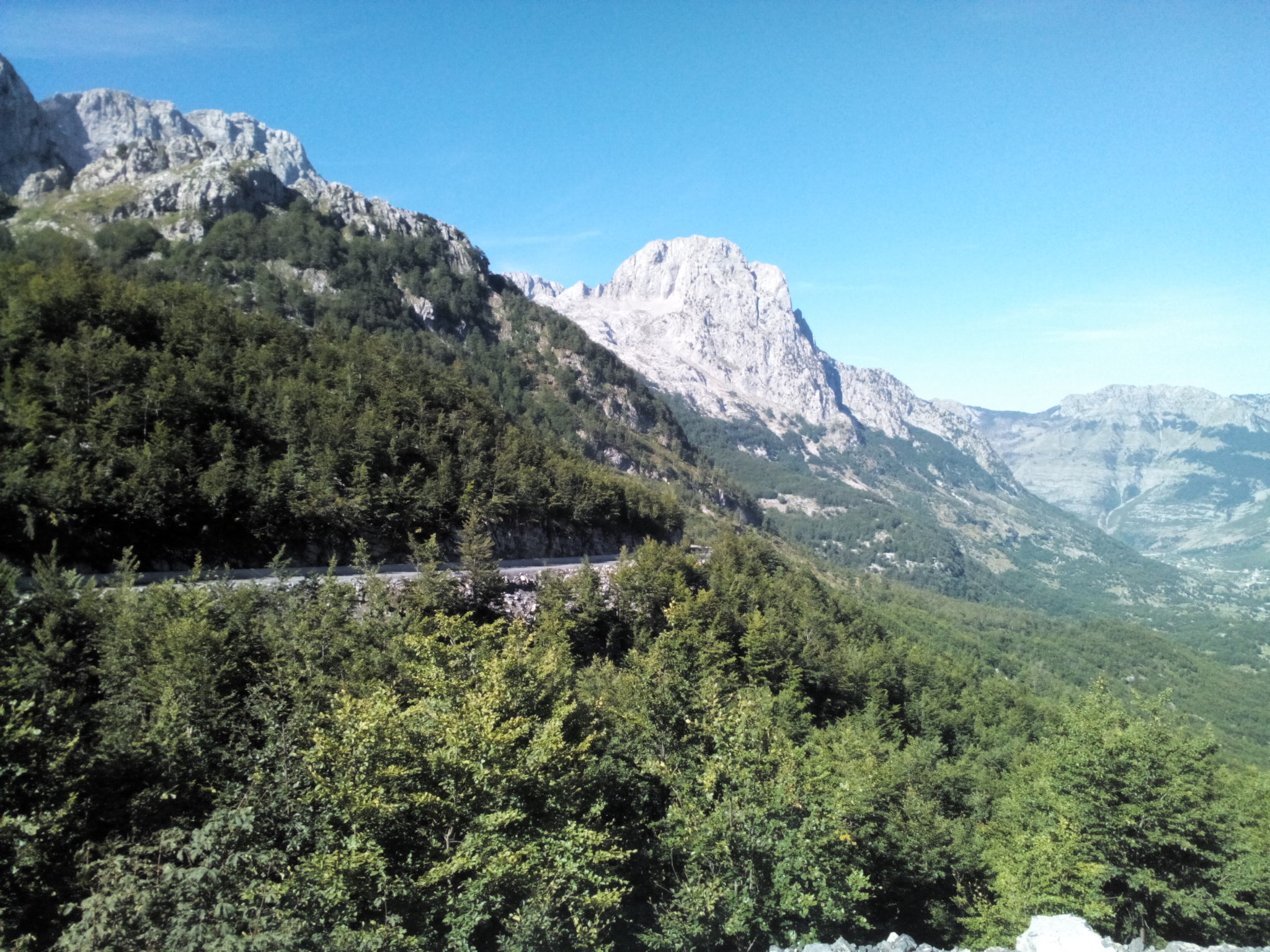 IMG_20140826_094212