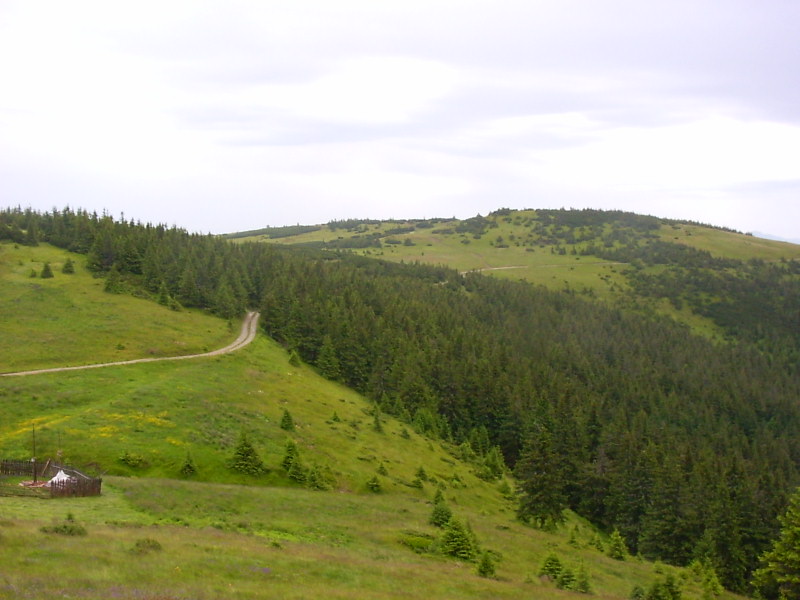PICT0055.JPG